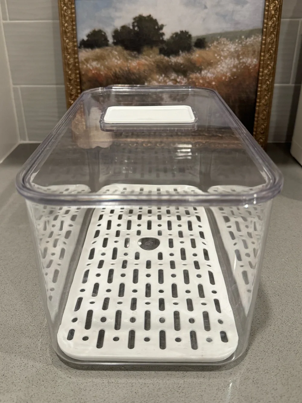 Clear Plastic Kitchen Storage Container with White Drain Tray